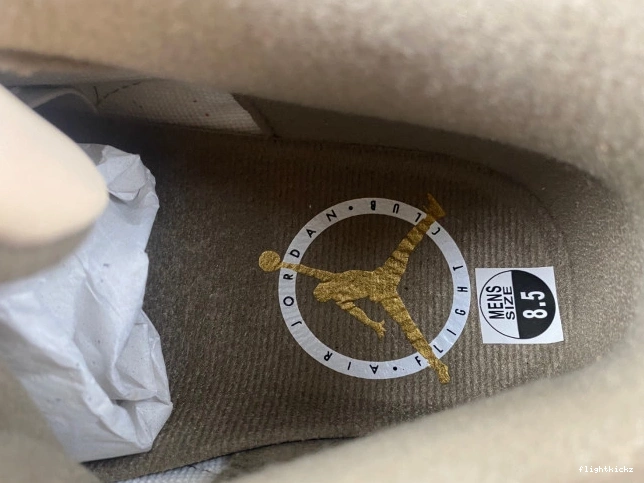 CT8532-102 3 Palomino Jordan Air 1010